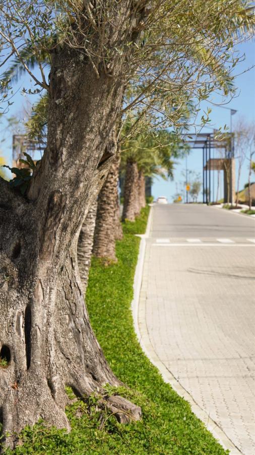 Terreno, 300 m² - Foto 16