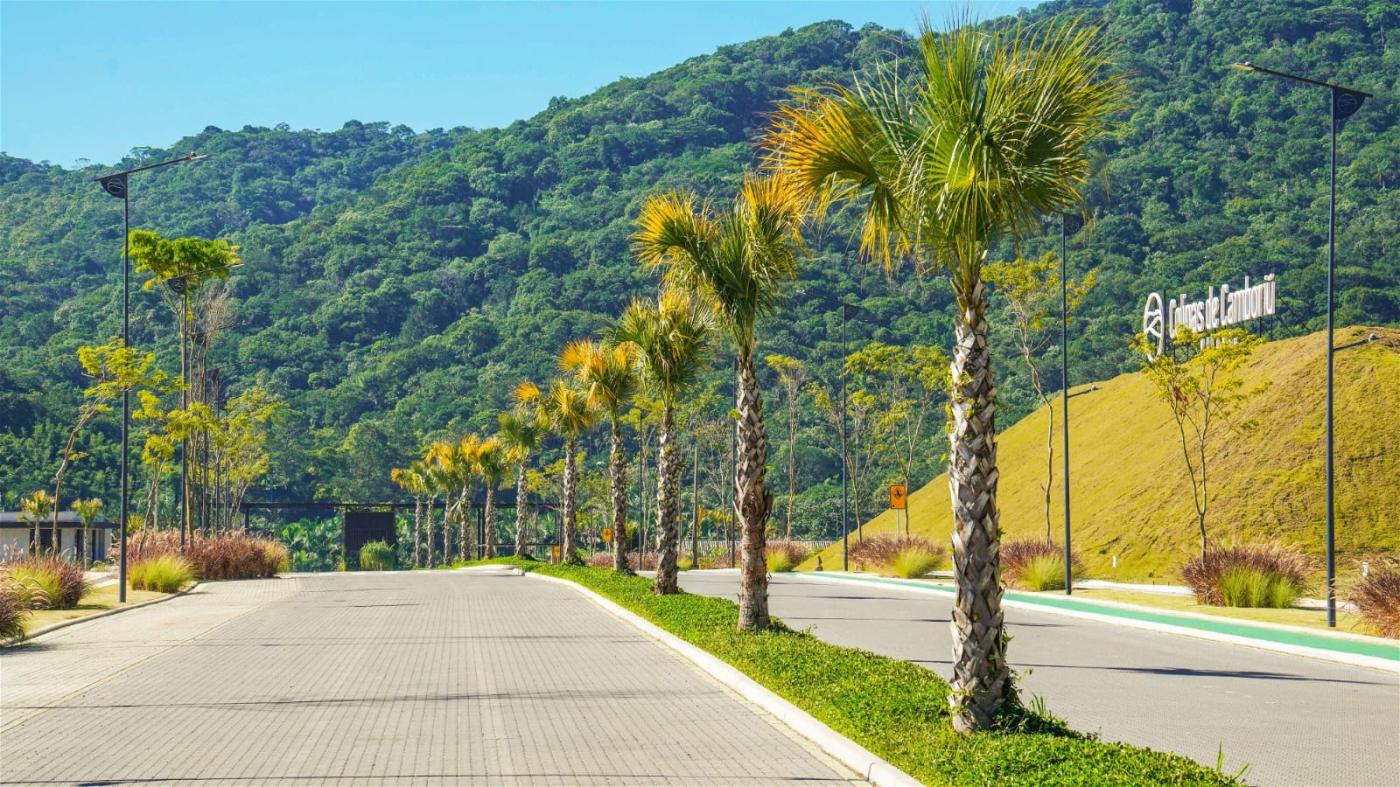 Terreno, 300 m² - Foto 23