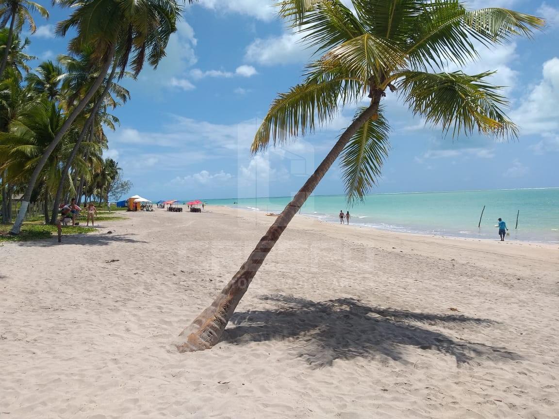 Prédio Inteiro, 780 m² - Foto 14